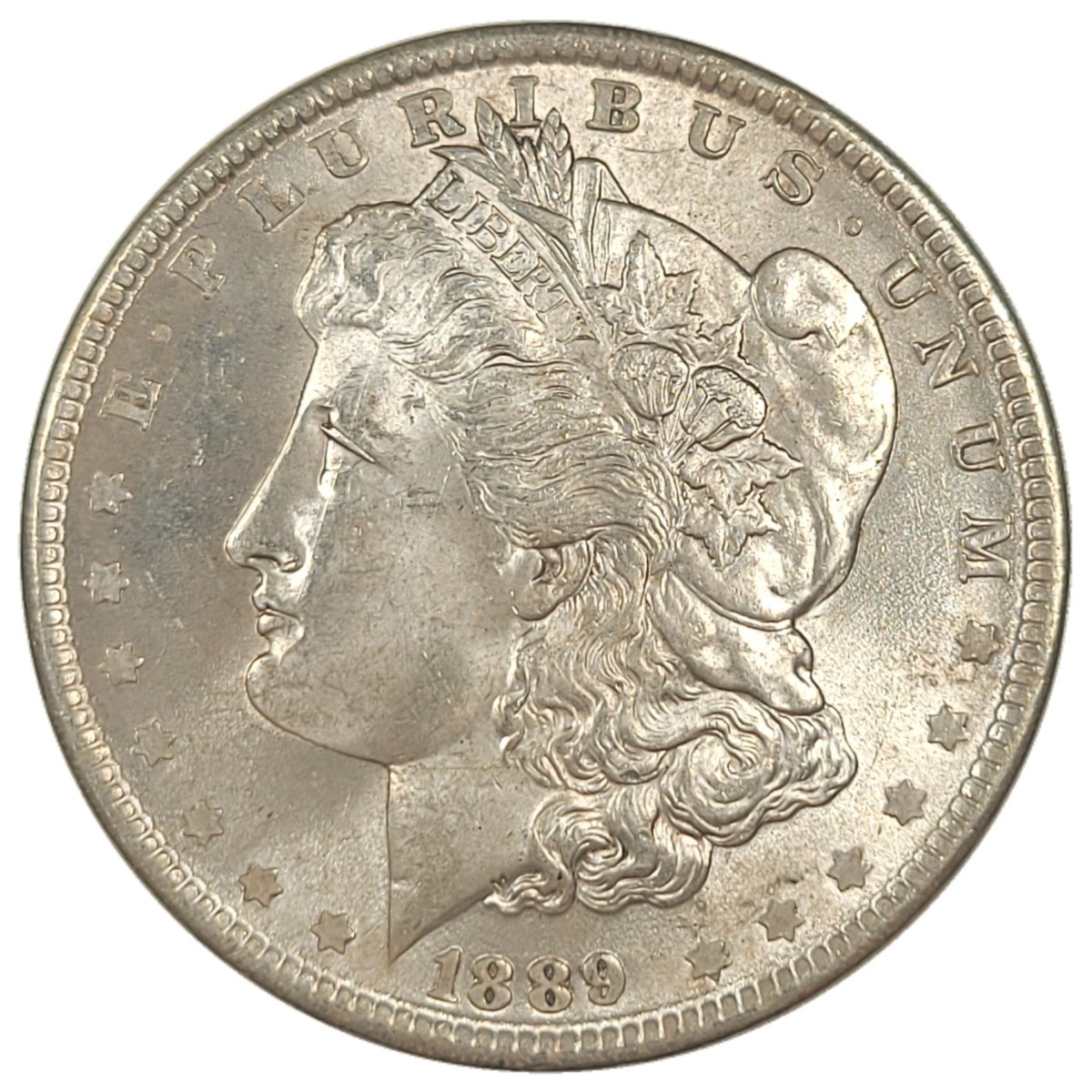 1889-$1-Morgan-Dollar-#13---Gold-Trade-#17-Of-17